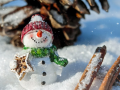 Будет ли снег в Украине на Новый год: синоптик уточнил прогноз погоды