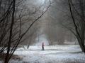 Дощі та аномально тепла погода: синоптик дав прогноз, якою буде зима в Україні