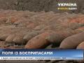 На Донбасе обнаружили сотни снарядов времен Второй мировой войны
