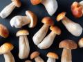Что приготовить из грибов: вкусные идеи