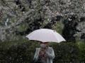 "Карантинная тысяча" по-японски: в стране восходящего солнца выдадут государственную помощь всем жителям