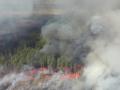 Животные, туристические объекты и склад боеприпасов: власть подсчитывает ущерб от пожаров в Чернобыле