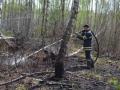 Лесные пожары на территории Чернобыльской зоны в течение трех дней не зафиксированы