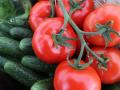 В Украине рекордно вырос импорт огурцов и помидоров