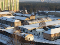 Тюрьма на продажу: Минюст пускает с молотка первую колонию под Киевом