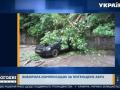 У Львові відсудили компенсацію за авто, яке потрощило трухляве дерево