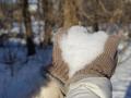 Погода в Украине 23 января: усилятся морозы, пройдет небольшой снег