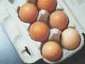 В «Головній темі» розповіли, чому не можна купувати чисті яйця   