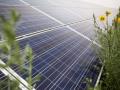 У Нідерландах з 2025 року забудовників зобов'яжуть ставити сонячні панелі на новобудовах