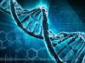 Прорыв в науке: геном человека полностью расшифровали