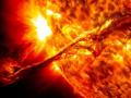 Астрономи розкрили секрет «темних пальців» на Сонці