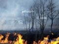 Депутаты вдвое увеличили штрафы за лесные пожары