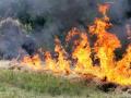 В Украине на выходные объявили чрезвычайную пожарную опасность