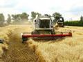 В Украине уже собрали 6,3 миллиона тонн зерна