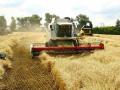 В Украине собрали почти 40 миллионов тонн зерна