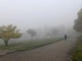 Синоптики предупреждают украинцев о сильном тумане