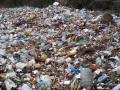 Зеленського просять збільшити штрафи за сміття - петиція зібрала необхідні голоси