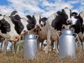 В Україні ростуть ціни на молоко-сировину