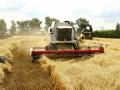 Україна зібрала рекордний урожай ранніх зернових