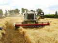 В Україні зібрали майже 50 мільйонів тонн зерна