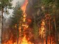 В Челябинской области РФ площадь лесных пожаров за ночь увеличилась в три раза - до 14 тысяч га