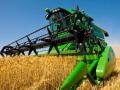 В Украине намолотили более 21 миллиона тонн ранних зерновых - Минагро