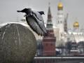 Російські виші перейшли на «воєнний стан» - ЗМІ