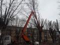 В Киевзеленстрое объяснили, почему необходимо обрезать кроны деревьев