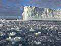 От Антарктиды откололся крупнейший за последние 50 лет айсберг