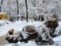 Украине на понедельник обещают до 6° тепла, но со снегом