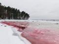 Вода на пляже в Эстонии стала кроваво-красной