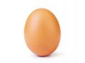 Фото куриного яйца набрало рекордное количество лайков в Instagram
