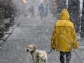 Мокрый снег, дождь, солнце и местами до 10 градусов мороза: прогноз погоды в Украине на 23-27 ноября