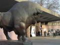 Киевский зоопарк «переселит» скульптуры у входа