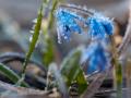 Украинцам прогнозируют ощутимое похолодание в ближайшие дни