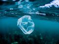В Средиземное море ежегодно попадает более 200 тысяч тонн пластика