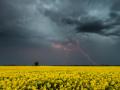 В Україні прогнозують спеку до 37°, подекуди - дощі та грози