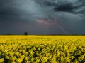 В Украине на 10 августа объявили штормовое предупреждение
