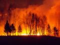 Сибирь продолжает гореть: 500 очагов возгораний, площадь пожара увеличивается