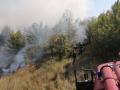 Вблизи Киева за месяц произошло более 800 пожаров