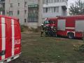 В Черкассах после травли блох госпитализировали жителей многоэтажки 