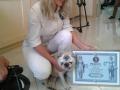 Самый старый пес в Украине умер в 19,5 года