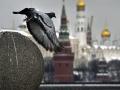 Россия внесла США и Чехию в перечень «недружественных стран»