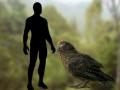 В Новой Зеландии нашли окаменелые останки гигантского попугая