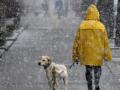 Неделя в Украине начнется с дождя и мокрого снега