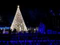 Трамп с супругой зажгли огни на главной рождественской елке США