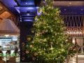 В Испании установили самую дорогую в мире новогоднюю елку