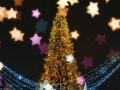 Во Франции с 20 ноября разрешили продажу рождественских елок как «предметов первой необходимости»