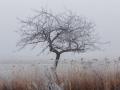 В Украину идет похолодание с мокрым снегом, в Карпатах - метель и ветер до 40 м/с