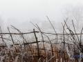 В Украине прогнозируют гололедицу, туман и до 6° мороза